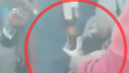 TERALI PITONA DA PIJE PIVO Mladići u alkoholisanom stanju uhvatili životinju, pa je zlostavljali (VIDEO)