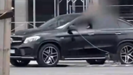 LJUDI BESNI ZBOG SNIMKA IZ BEOGRADA Seo u mercedes od 50.000 evra, pa ovo uradio sa psom (VIDEO)