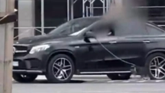 LJUDI BESNI ZBOG SNIMKA IZ BEOGRADA Seo u mercedes od 50.000 evra, pa ovo uradio sa psom (VIDEO)