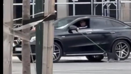 "SRAMOTA, ODUZMITE MU PSA" Životinja juri za automobilom, vlasnik zgrozio javnost, društvene mreže se usijale zbog situacije u Beogradu (VIDEO)