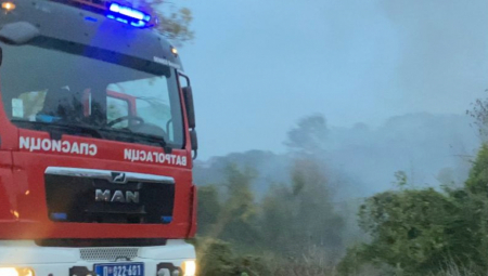 POŽAR KOD TOPOLE Vatrena stihija progutala štalu, sve životinje stradale