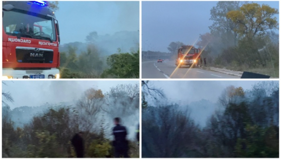 CELA ČUKARIČKA PADINA U DIMU Izbio požar, vatrogasci na licu mesta (FOTO/VIDEO)