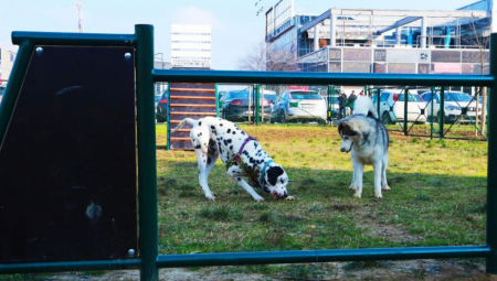 VETERINAR, FRIZER, HOTEL... Evo koliko Srbi potroše na pse svakog meseca