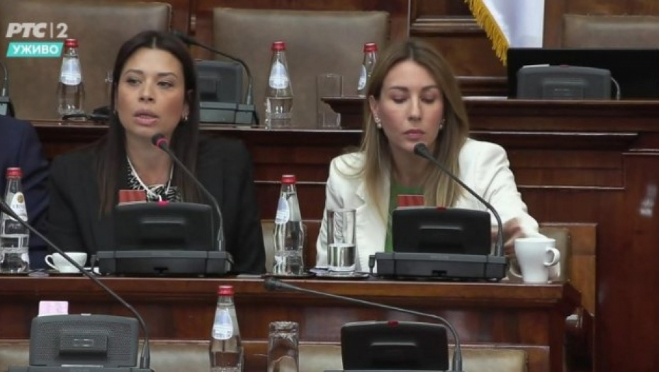 VUJOVIĆ O SSP Njihova jedina politika bila i ostala blaćenje predsednika i njegove porodice