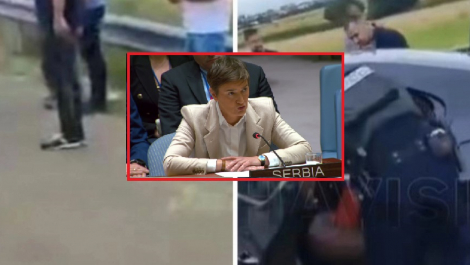 "TO JE BILA JASNA I BRUTALNA PROVOKACIJA" Premijerka Brnabić pred celim svetom o maltretiranju Danila Vučića od strane tzv. kosovske policije