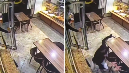 BIZARNA PLJAČKA U PEKARI Kada vide da nema radnika za pultom priđu i ukradu ovo (VIDEO)
