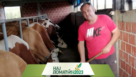 Minići u Šumadiji prodaju mleko i prave najlepšu gibanicu