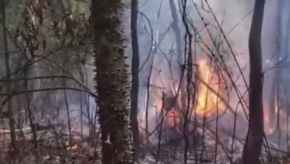 (UZNEMIRUJUĆI VIDEO) PAO AVION Ima poginulih