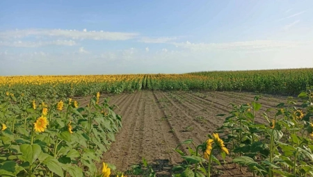 Nedeljko Tica: "Poljoprivreda može biti unosno i perspektivno zanimanje"