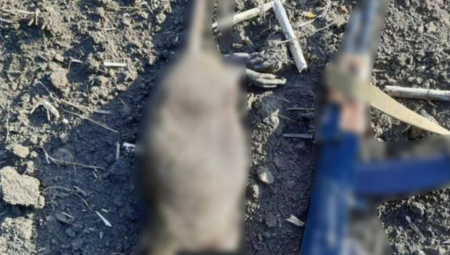 ŠTA JE BRE OVO? Ukrajincima u rovove upadaju pacovi od pola metra (FOTO)