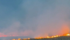 POŽAR NA PUTU BEOGRAD-VRŠAC Vatra se nekontrolisano širi