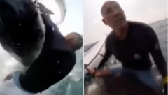 ŽIVOTINJA JE ODJEDNOM ISKOČILA IZ VODE I POKUŠALA DA UDAVI SURFERA Kako biste vi reagovali da vam ovo stvorenje prepreči put? (VIDEO)