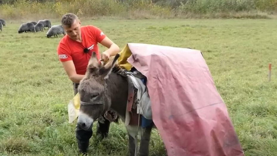 "NE MOŽE ON NA BALKONU KROMPIR I LUK DA SADI" Braća iz Bosne žive kao nomadi: Hteo sam da idem u Nemačku, ali sam odustao (VIDEO)