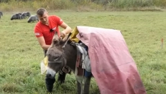 "NE MOŽE ON NA BALKONU KROMPIR I LUK DA SADI" Braća iz Bosne žive kao nomadi: Hteo sam da idem u Nemačku, ali sam odustao (VIDEO)