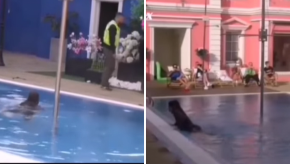 BEBICA BRUTALNO GURNUO MILJANU U LEDENI BAZEN Pojavio se snimak haosa, Kulićeva nije znala šta je snašlo!