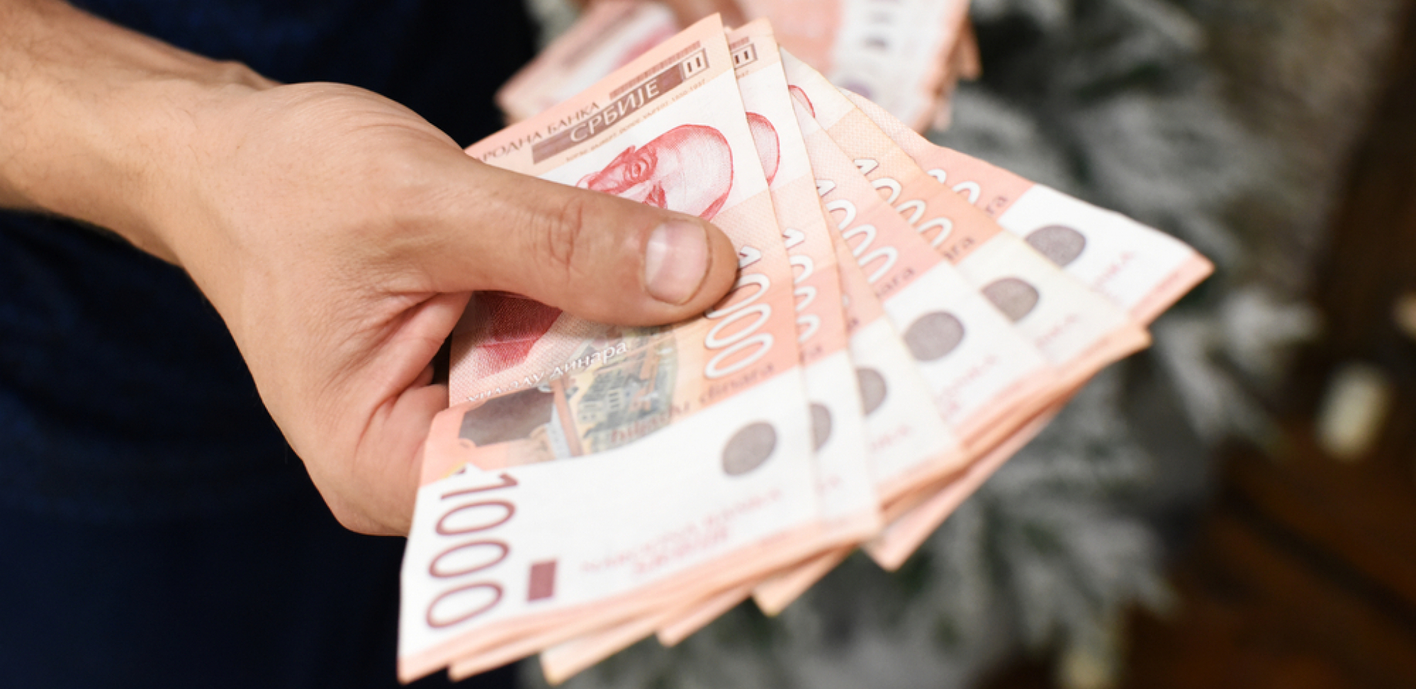 SRBI SVE VIŠE SADE OVU BILJKU I SREĆNO TLJAJU RUKE Cena otkupa drastično porasla, a evo šta se očekuje u narednoj godini