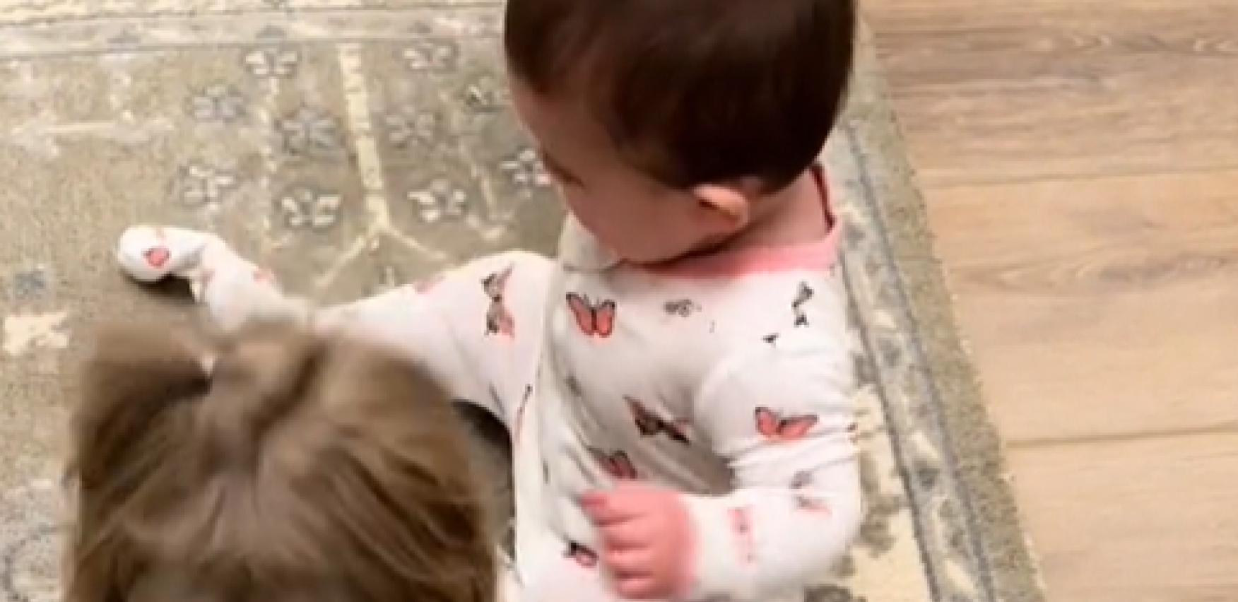 OVO JE NEŠTO NAJSLAĐE ŠTO ĆETE DANAS VIDETI Pas bebi krade dudu, njena reakcija je potpuni hit