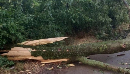 NEZAPAMĆENO NEVREME POGODILO ZAPADNU SRBIJU Vetar čupao drveće iz korena i nosio krovove sa kuća (FOTO)