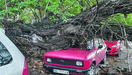VETAR ČUPAO DRVEĆE IZ KORENA I NOSIO KROVOVE! Bujični potoci nosili sve pred sobom, grad lomio stakla, gromovi udarali u domove!