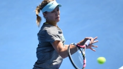 TI SI PROFESIONALAC, BAŠ KAO NOVAK ĐOKOVIĆ? Carinik nije prepoznao Bušar, ali je uspeo da se izvadi