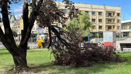 VELIKA OLUJA U ČAČKU Vetar iščupao drveće iz korena, ljuljali se kranovi