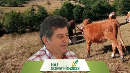 Devetočlana porodica Stojić u Kratovu generacijama se bavi poljoprivredom