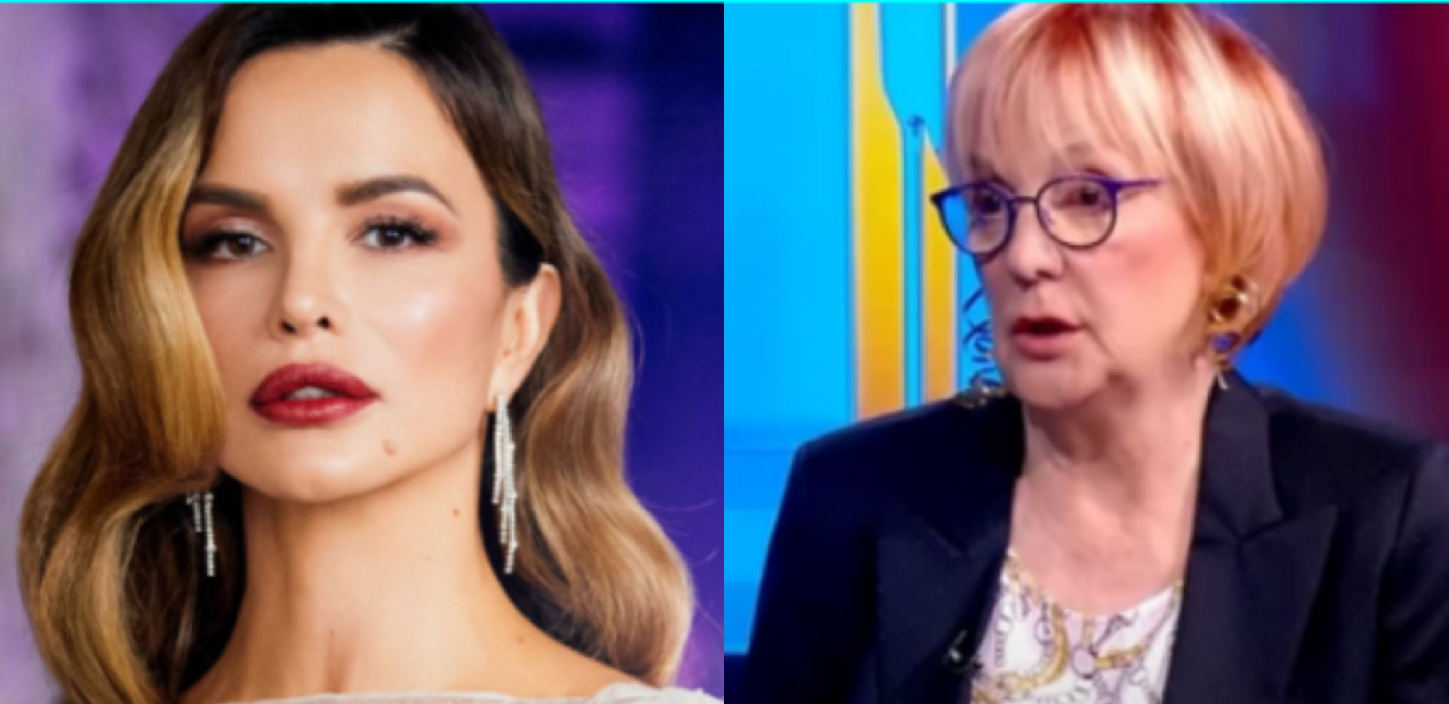 SEVERINA JE SVE ŠTO MUŠKARCI MRZE! Vedrana Rudan bez dlake na jeziku o pevačici