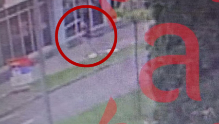 ISPLIVAO SNIMAK BEKSTVA IZ SUDA Pedofil skočio kroz prozor, nakon ovoga mu se gubi svaki trag (VIDEO)