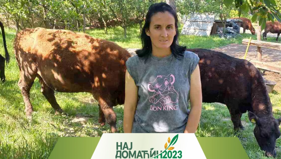 Novi pravac stočarstva: Slađana gaji bikove "angus" sorte