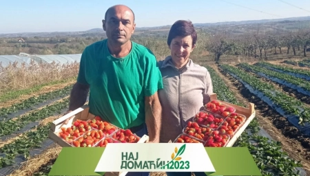 POZNATI PO JAGODAMA Goca i Milovan u selu Šume kod Topole od jutra do sutra beru mirisne i slatke plodove