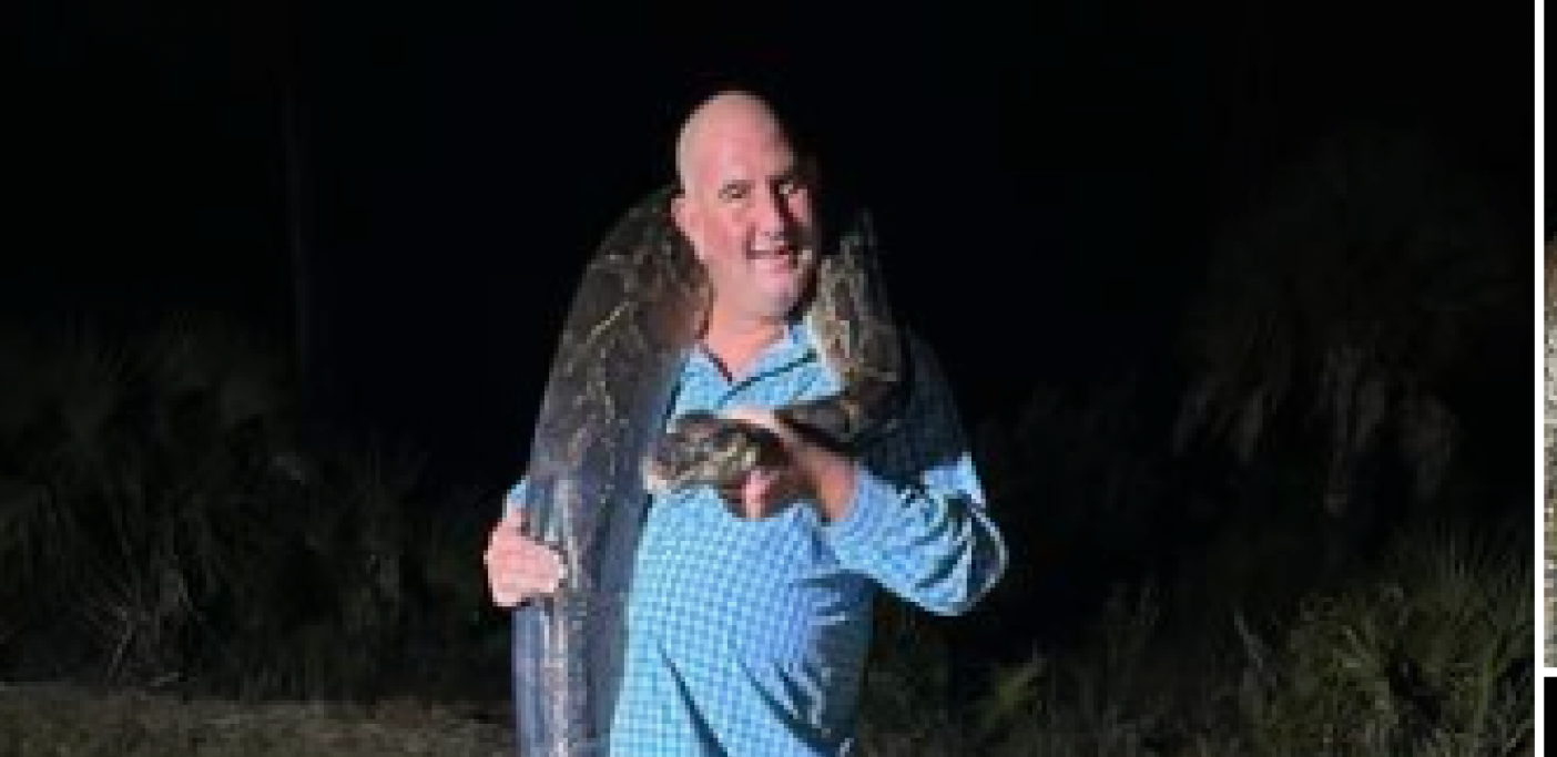 PITON OD 90 KILA Lovci od zmije mislili da je aligator, jedva je njih petorica ukrotili (FOTO)