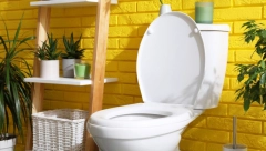 DA WC ŠOLJA UVEK BLISTA Potrebna je samo 1 jeftina stvar, svi je imamo u kupatilu