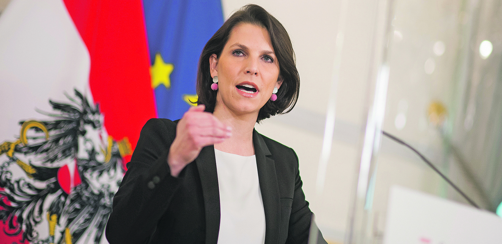 SRBIN NA LUKAV NAČIN PROVALIO U STAN AUSTRIJSKE MINISTARKE Otkriveno kako je naš državljanin slučajno opljačkao baš državnu funkcionerku
