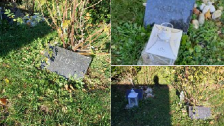 OBJAVA OVOG SRBINA SLAMA NAJTVRĐA SRCA Kupio sam vikendicu, vlasnik je hteo samo ponekad da obiđe grobove svojih pasa, a sad...