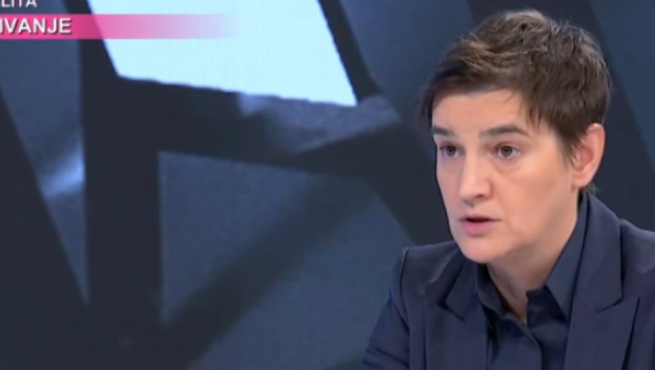 SVE SU RASPRODALI, A NAMA PRIČAJU O SLICI PAJE JOVANOVIĆA Brnabić: "Sebe smatram narodom, a ne elitom"