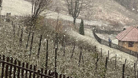 SNEG SE NE ŠALI, VEJE LI VEJE Vrh srpske planine se skroz zabeleo