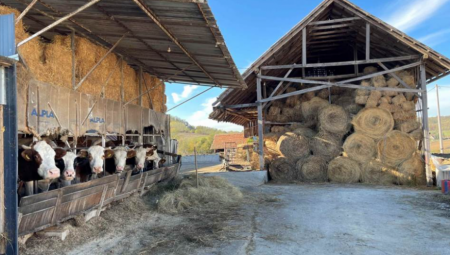 "RADNI DAN POČINJE U 6, ZAVRŠAVA SE U 22H - ISPLATI SE" Branko otkrio tajnu uspešnog biznisa