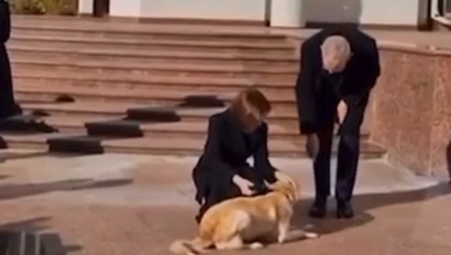 DIPLOMATSKI ŠOK! PAS MAJE SANDU UGRIZAO AUSTRIJSKOG PREDSEDNIKA Kamera zabležila jeziv momenat (VIDEO)