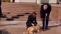 DIPLOMATSKI ŠOK! PAS MAJE SANDU UGRIZAO AUSTRIJSKOG PREDSEDNIKA Kamera zabležila jeziv momenat (VIDEO)