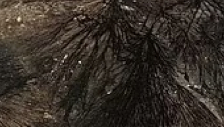 ŽENA ISPOD PODA KUĆE OTKRILA JEZIV PRIZOR Stručnjaci zbunjeni: "Izgleda kao nešto iz horor filma" (FOTO)