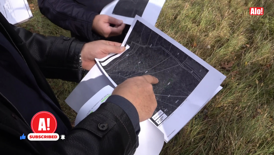 PRIJAVILI KUKURUZ, UMESTO NJIVE - ŠUMA A SUBVENCIJE SE ISPLAĆUJU Poljoprivredna inspekcija ispitala 90 odsto slučajeva pod nalogom Uprave za agrarna placanja