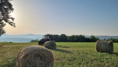 SRBIN PRODAJE SEOSKO IMANJE ZA 13.500 EVRA: Okućnica, šuma, u srcu Šumadije, a ima i vodu i struju!