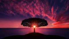 NAJTAČNIJI HOROSKOP NA SVETU Da li znate šta ste u horoskopu burmanskih monaha?