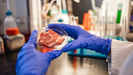 PRVA DRŽAVA KOJA JE ZABRANILA PROIZVODNJU VEŠTAČKOG MESA Evo kolike su kazne za kršenje zakona