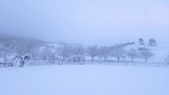 SRBIJA OVOG JUTRA U MINUSU Najniža temperatura - 11, malo mesta osvanulo u plusu