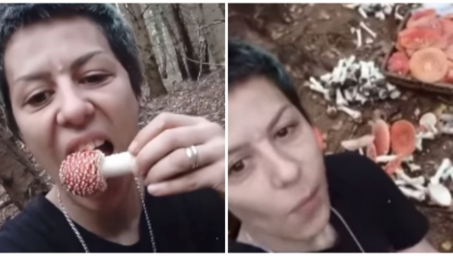 "VEČNAJA PAMJAT, TA PEČURKA SE JEDE SAMO JEDNOM U ŽIVOTU" Devojka mljackala u kameru dok je žvakala muharicu u šumi, urnisali su je