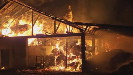 POŽAR PROGUTAO CELU KUĆU U KRALJEVU Sedmočlana porodica ostala bez krova usred zime