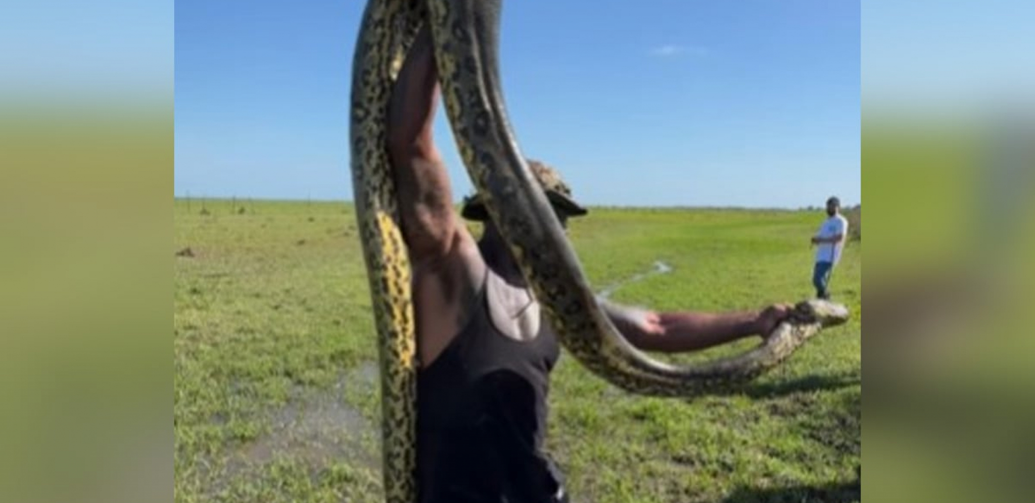 UHVATIO ANAKONDU GOLIM RUKAMA Snimak čoveka sa opasnom zmijom širi se mrežama, ljudi ne veruju šta radi (VIDEO)