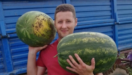 Savatići iz Ogara su značajni proizvođači bostana i cenjeni ratari svesni da proizvodnju stalno treba unapređivati