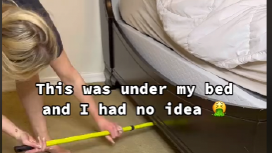 ZAVUKLA METLU ISPOD KREVETA, I PRONAŠLA OVO Korisnici društvenih mreža u šoku: "To je izvor zaraze" (VIDEO)